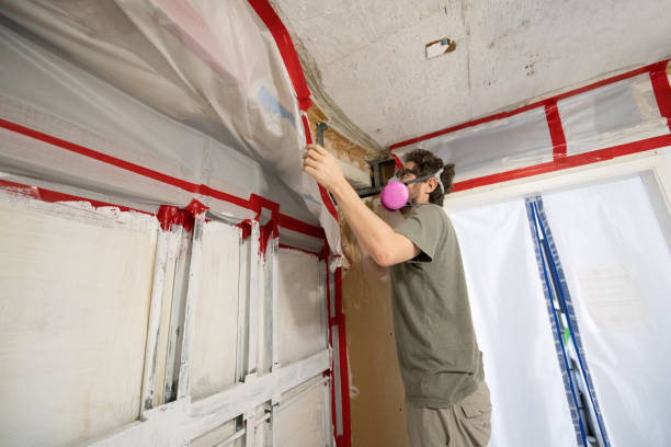 Best Commercial Mold Inspection  in Spencer, IN