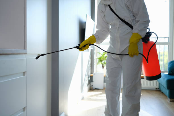 Best Industrial Mold Remediation  in Spencer, IN