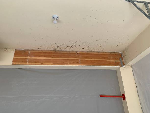 Dehumidification Services in Spencer, IN